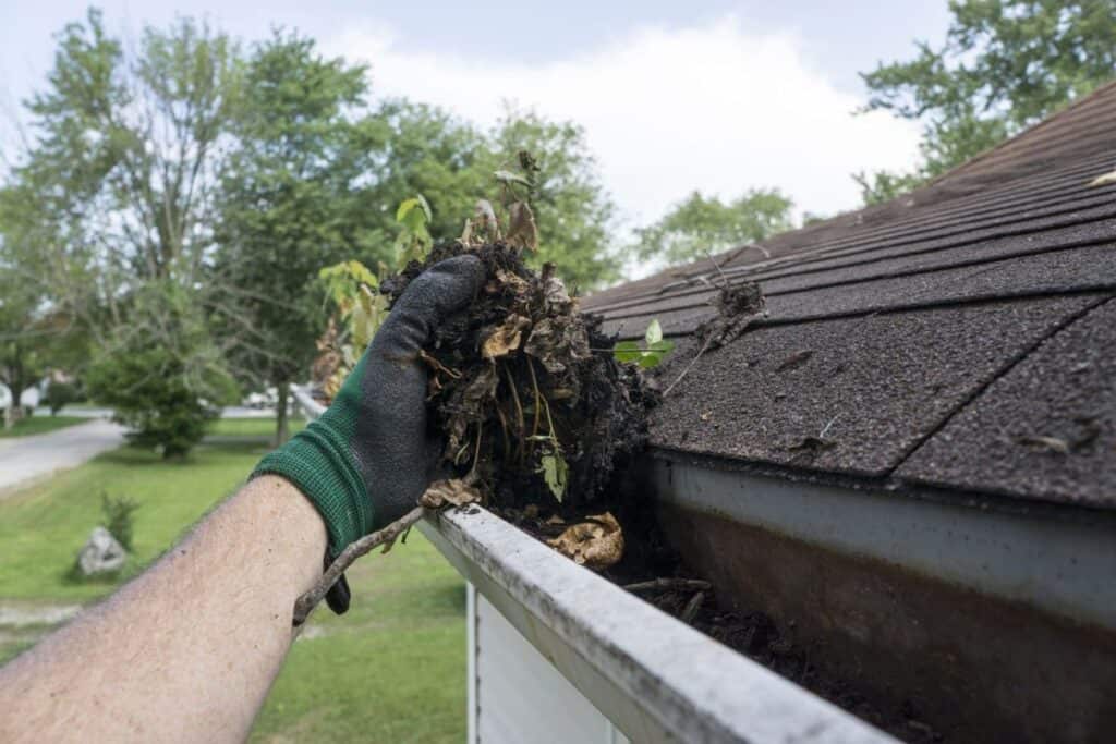 Gutter cleaning