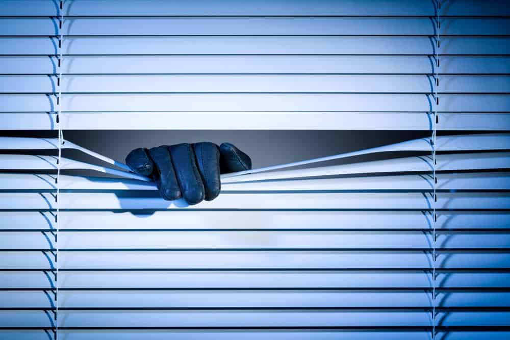 Thief Opening Blinds