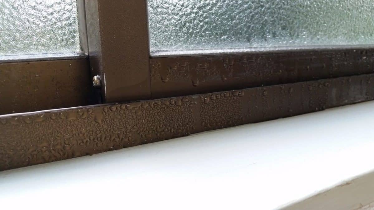 condensation on inside of window