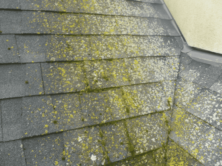 Roof Algae Removal 20180105 200353