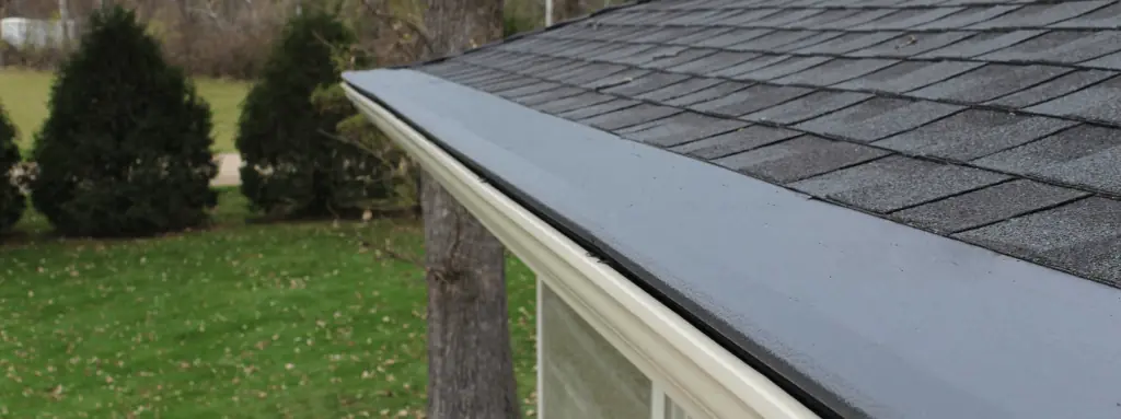 Pro Flow gutter protection