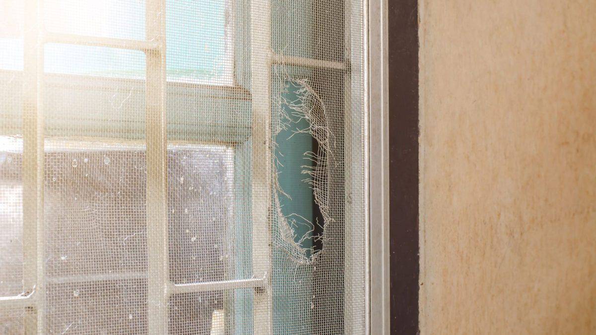 Repairing a hole in your screen door