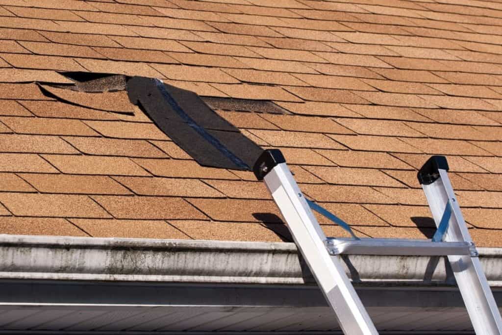 Damaged roof shingles