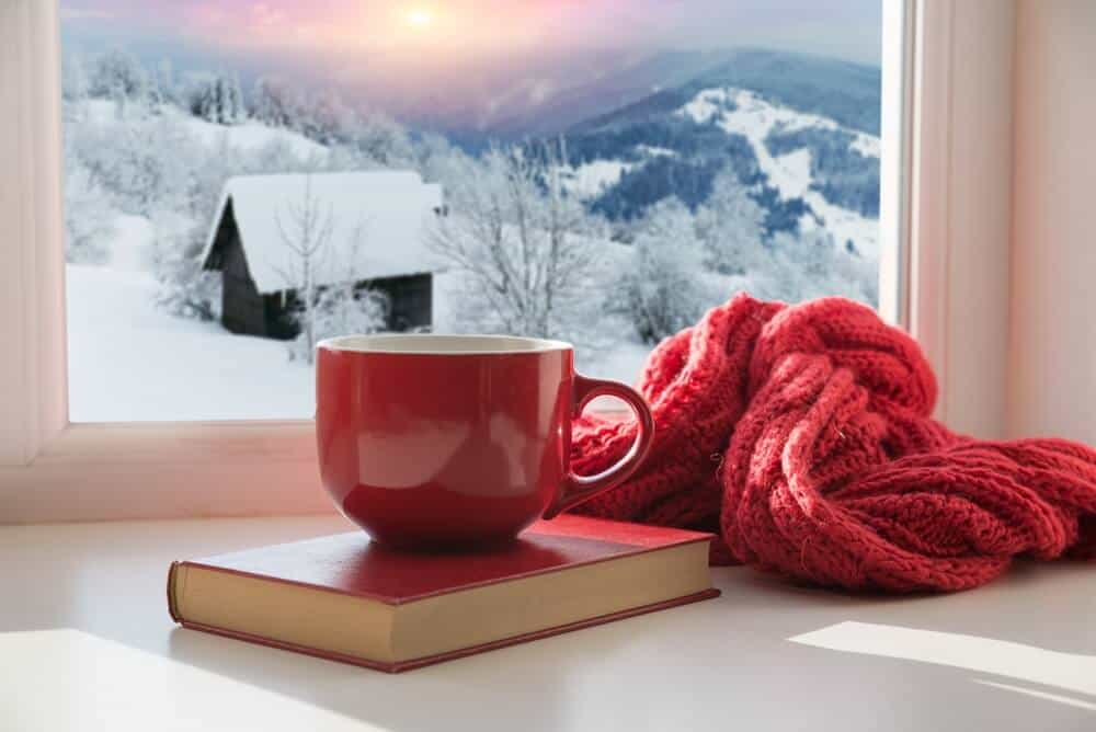 Cozy mug and book in front of a window overlooking a cold, wintry landscape.